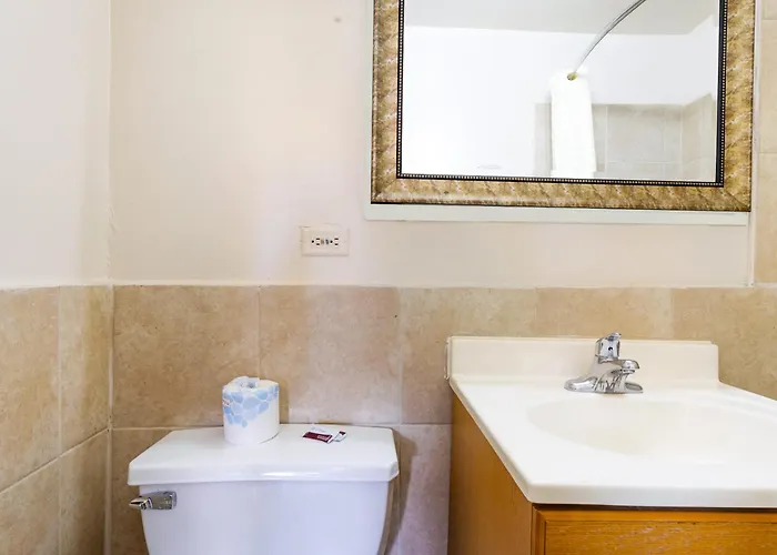 Manor By Oyo Near Oak Brook Chicago Westchester Motel 2*